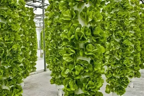 Vertical Farming Tower  Use For Agricultural Greenhouses Equipment Hydroponic System