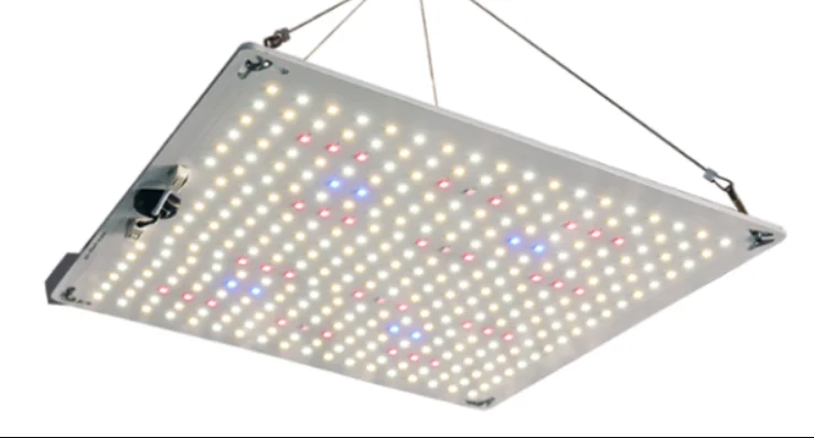 Low Price Easy-assembled 320W  Samsung LM301b Quantum Panel LED Grow Light for Veg Bloom Indoor Plants in Greenhouses