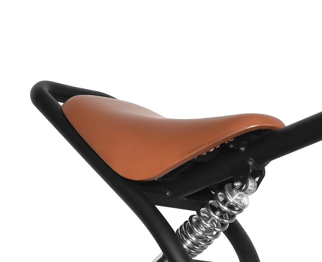 Ebike Lithium-ion Battery 36V  Electric Bicycle Battery for Roodog Cosmo Rogue Folding Cruising Electric Bike