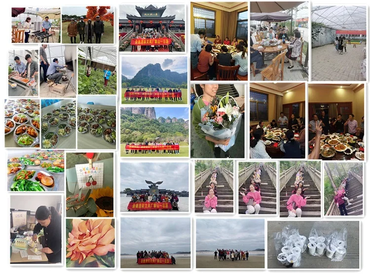 Gouache Paint Set 12 Color X 12ml Tubes for Beginners and School Students Dinning Table Set Art Painting Drip Bear Paint Set