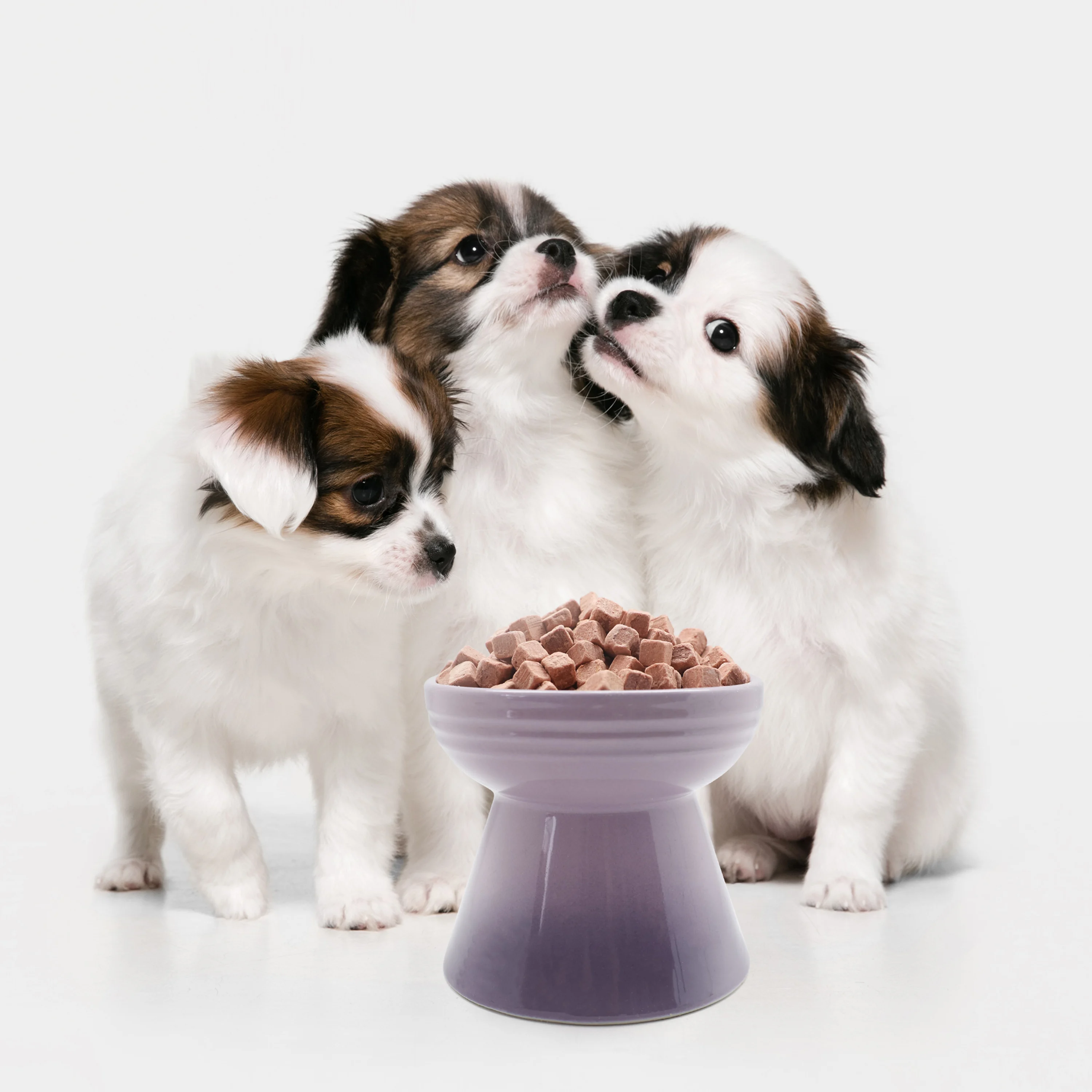 Корм для собак Ranova vitality, закуски для собак, замороженный высушенный лосось, смесь рецептов клюквы, корм для собак