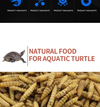 Dried Black Soldier Fly Larvae 2 LBS