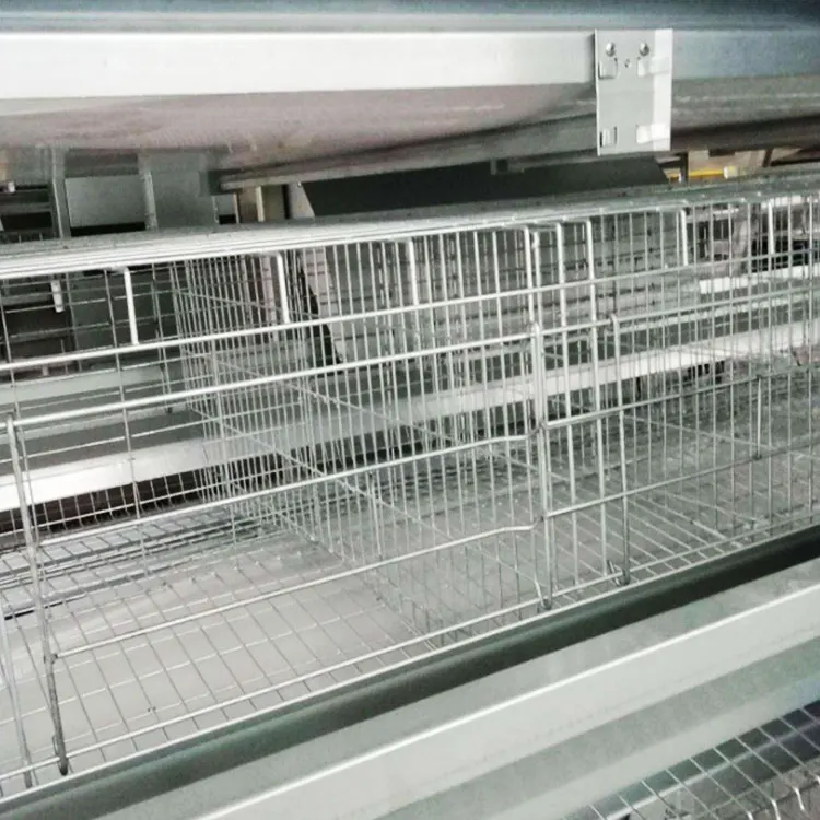 Hardware  Poultry Enclosure Netting Rabbit Run Cage Chicken Coop Iron Wire Mesh Farm Fence Roll Galvanized Welded Wire Mesh