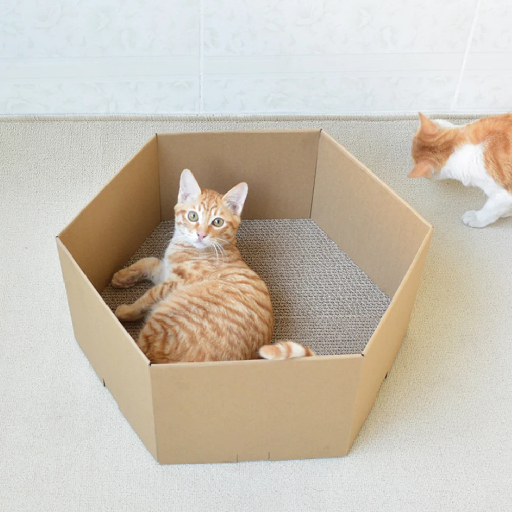 Кошачий скребок
