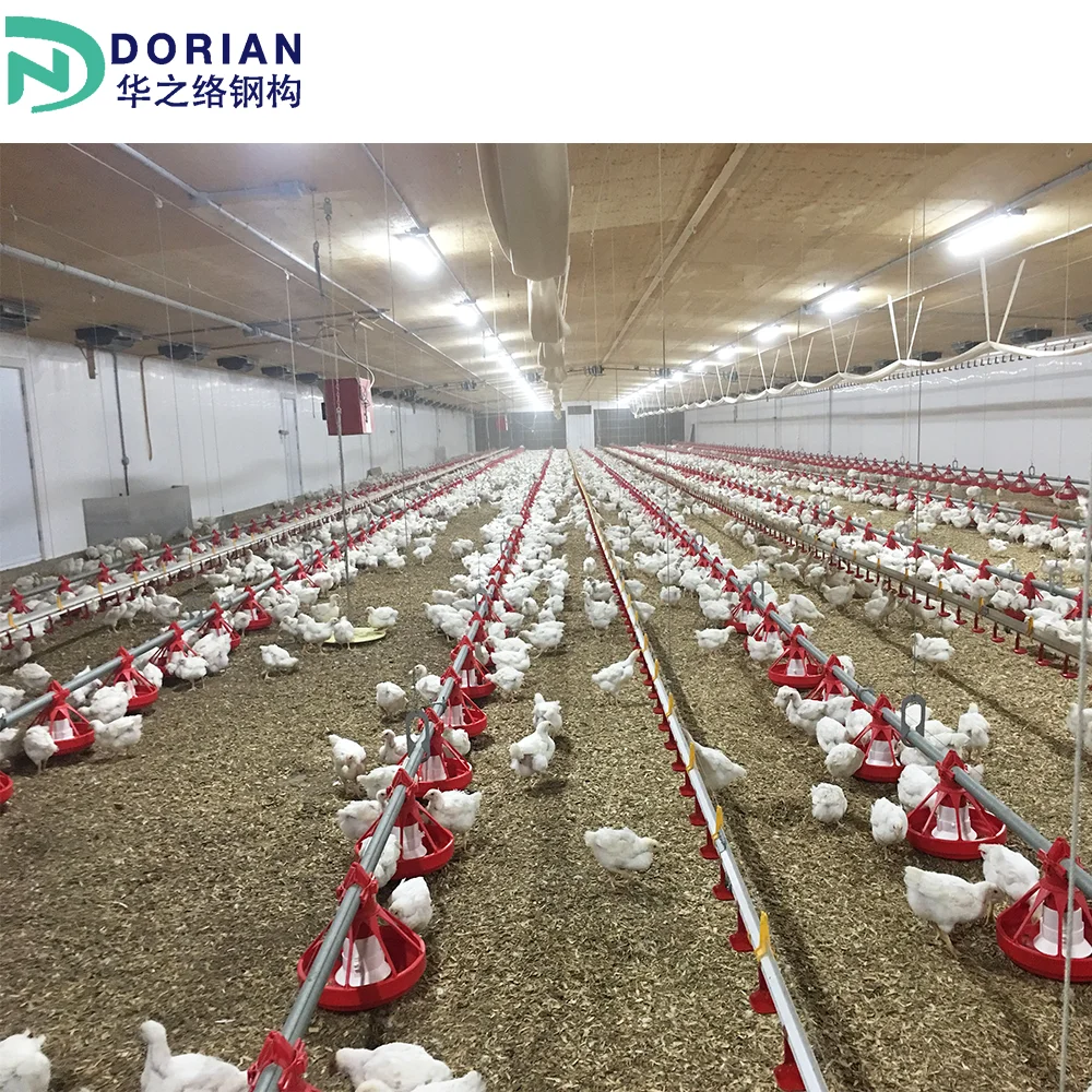 Low Cost chicken house floor poultry farm Designs Prefabricated Steel Structure chicken farm building kit sets nz