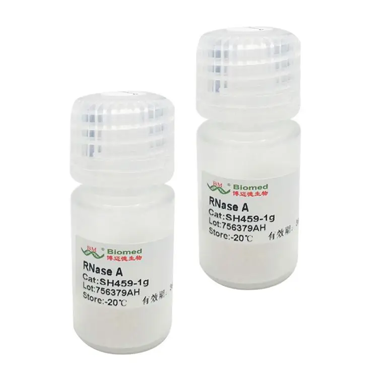 Competitive Price Professional Ribonuclease A Lyophilized Powder  Plasmid DNA extraction