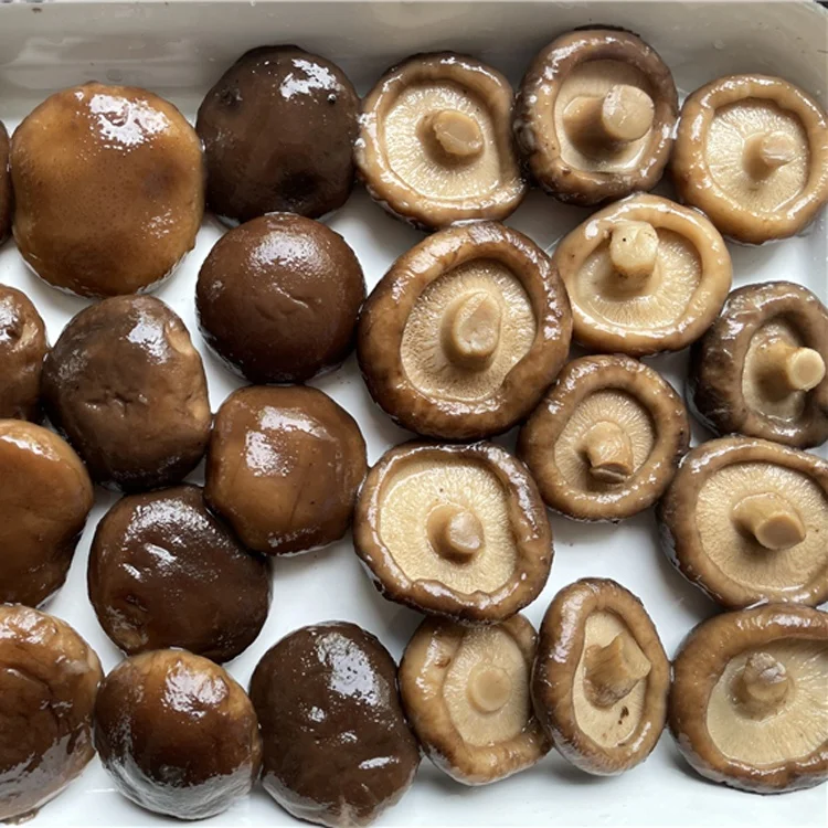 
In Drum 50kgs High Grade Quality Brine mushroom preserved shiitake mushroom whole 
