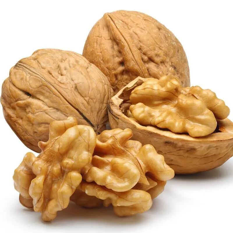 Walnuts with thin skin 185 new paper shell walnuts with cheap price and excellent quality from Xinjiang China