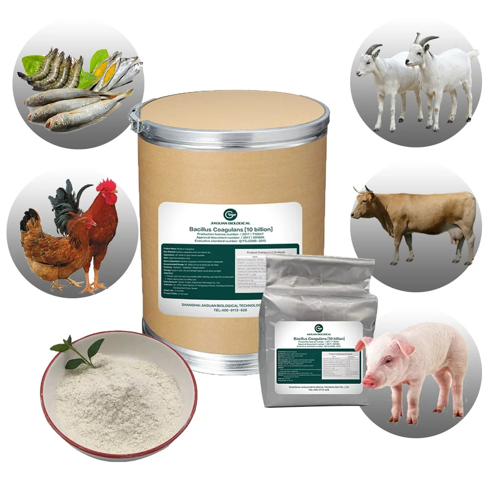 Bacillus Coagulans For Sheep Animal Feed Concentrate Animal Feed Cow Sheep