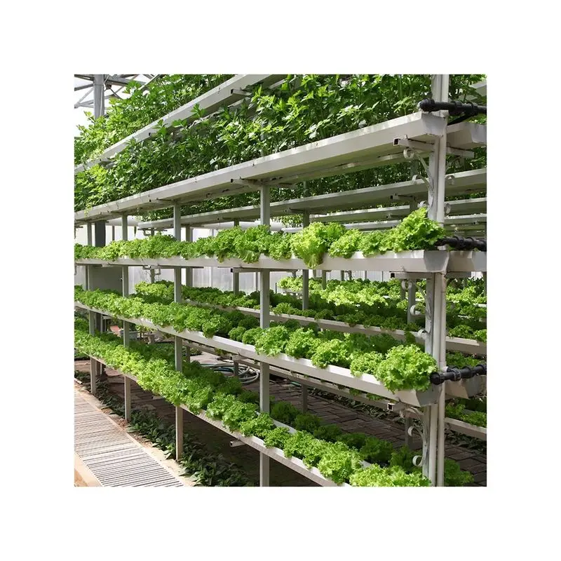 
Factory hot sale high yields indoor hydroponic greenhouse for fruit 