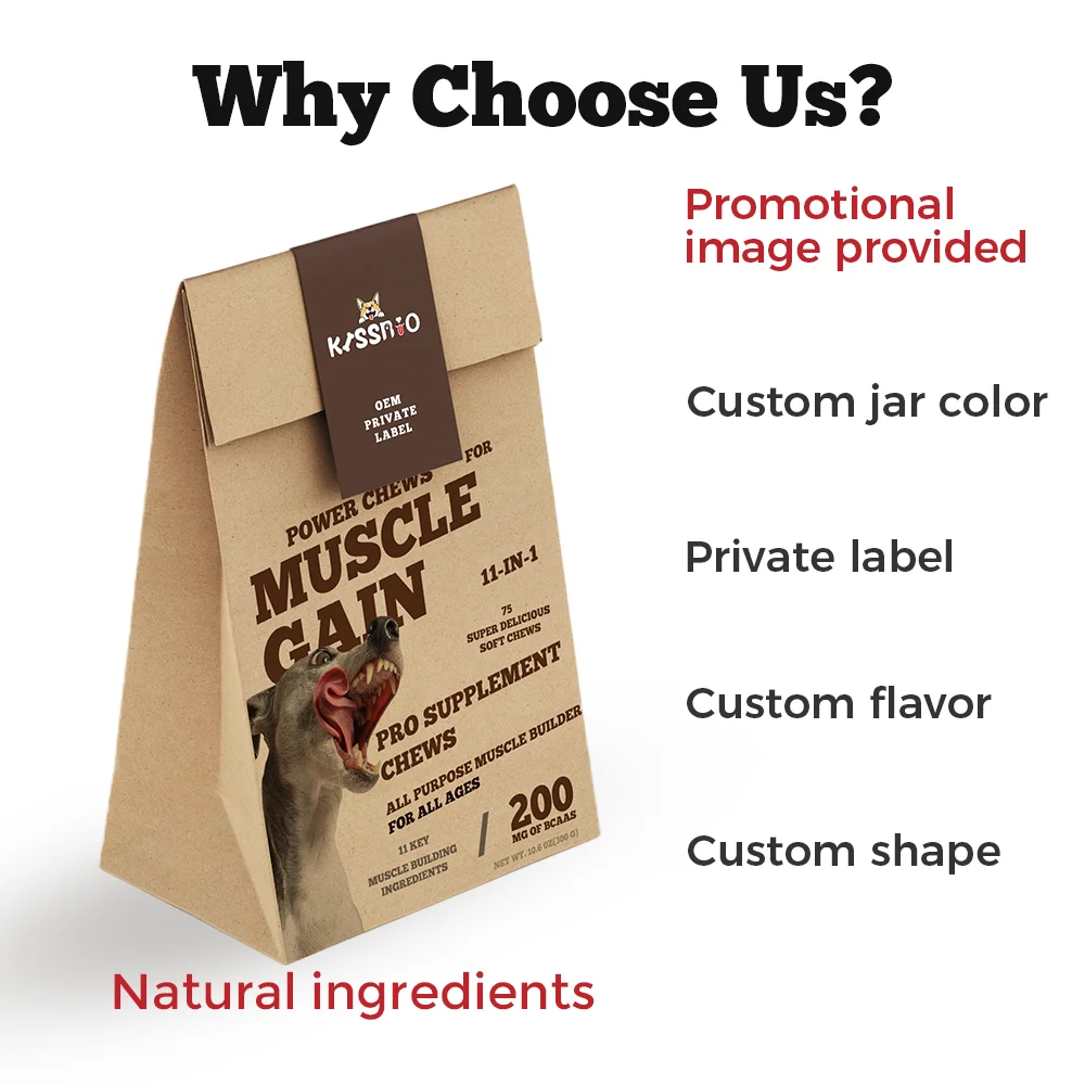 OEM/ODM High Protein 11-in-1 Muscle Gain Soft Dog Chews Premium Supplement for All Breeds Cats 11-in-1 Application Powder Form