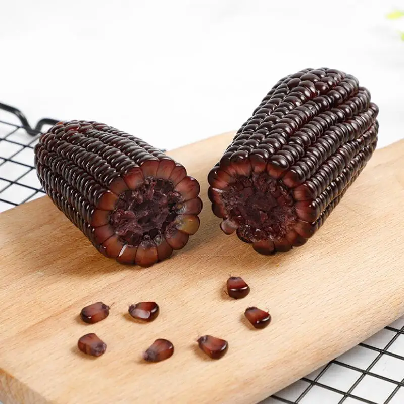 High quality sweet corn of purple corn