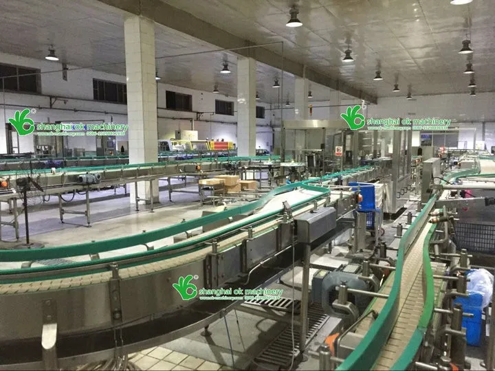 Pet Bottles Flat Top Plastic Adjusted Plate Attach Chain Plate Conveyor Belt Glass Bottles