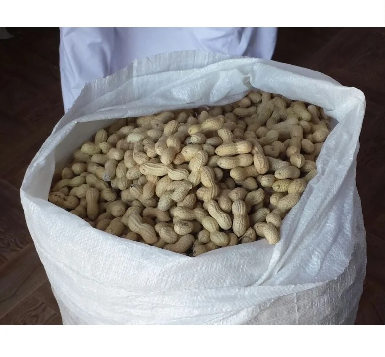 
Raw Peanut in Shell Long Peanut with Cheap Price 