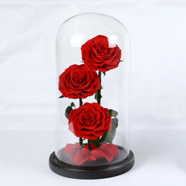 Ammy Factory Preserved Flower Rose Big Prince 3 Red Roses  Forever Flowers Eternal Roses In Glass Dome For Valentines Day Gifts