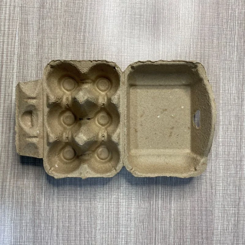 PT PACK 2021 Paper Egg Tray Factory Biodegradable Pulp Fiber Sugarcane Bagasse 6 Cell Paper Eggs Box