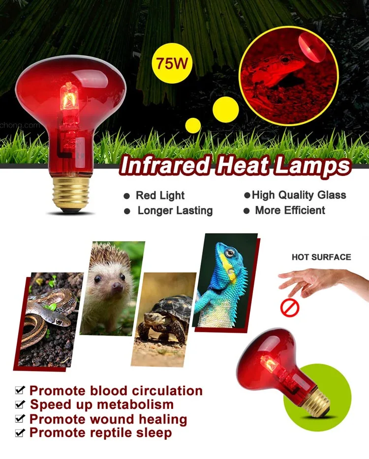 R125 Оптовая продажа животных поросят Бройлер для сна курица птичьи птицы/нагревательная лампа для домашних животных