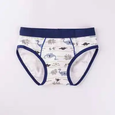 
Fit for 8-40kg Eco-freindly Printing Cotton Boys Bikini Briefs High Quality Kids Underwear 