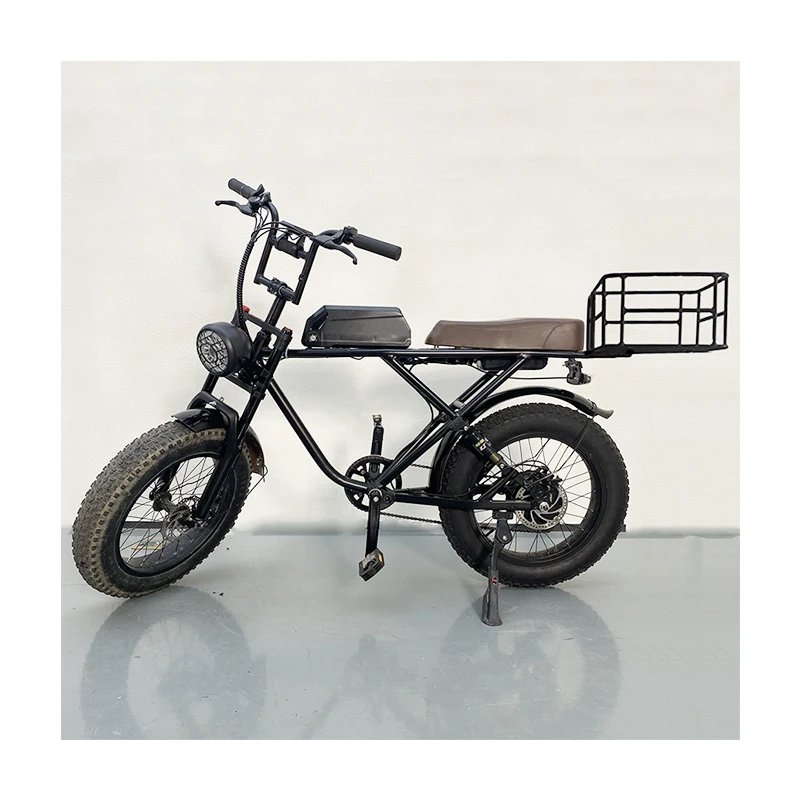 long range 1000w 48v pizza e-bike box fat tire fast food delivery electric cargo