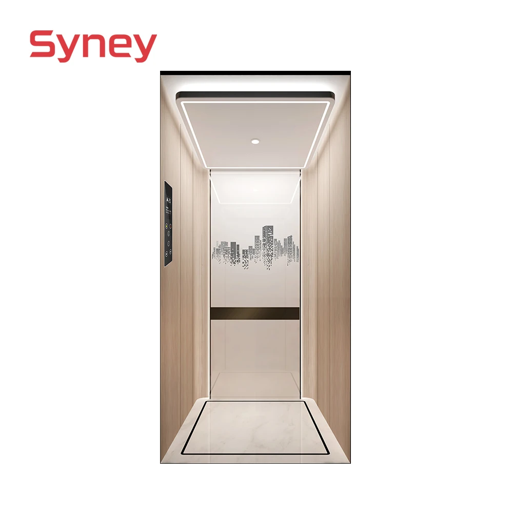 Syney Superior Quality Stable Performance Residential Villa home elevator kit