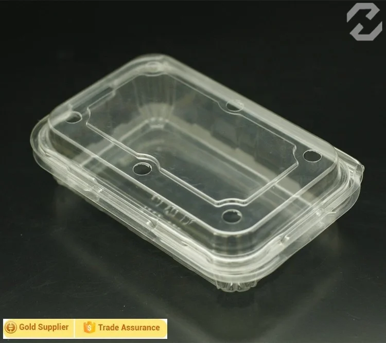 China supplier disposable plastic fruit container