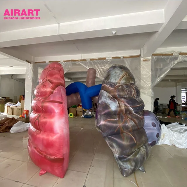 Giant PVC Inflatable Medical Lungs with Lung Tube Model