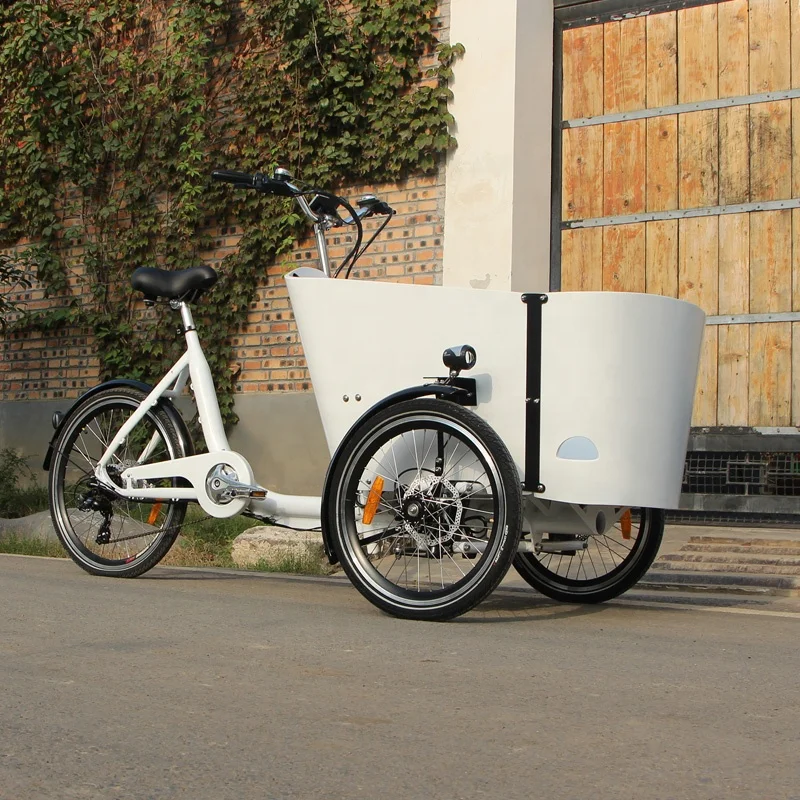 New Design Velomobile Trike Electric Cargo Bike Electric Driving Type