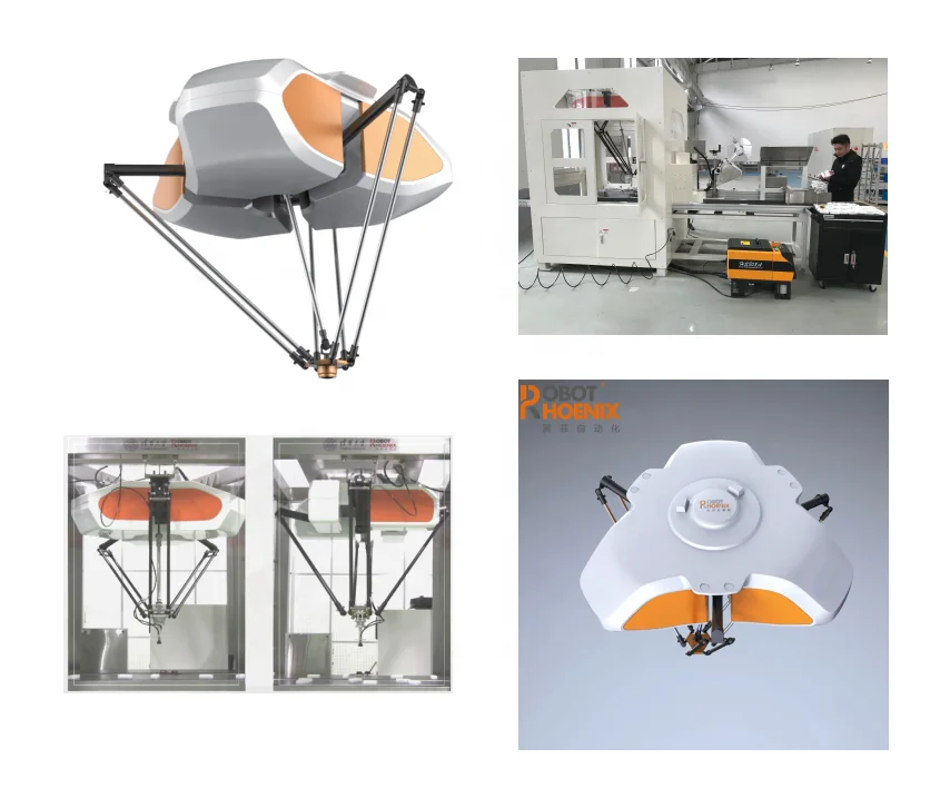 High Accracy Payload Compact and Flexible Delta Robot Carton Packer,Spider Hand Carton Packing Machine