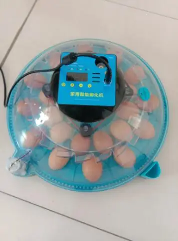 egg incubator 2023 best selling chicken incubator CE approved automatic mini hatching machine 16 pcs eggs incubators for farms