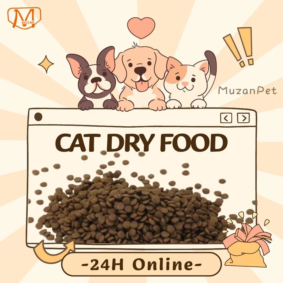 Private Label Supplement High Quality Pet Cat Food Dry Cat Food 1KG