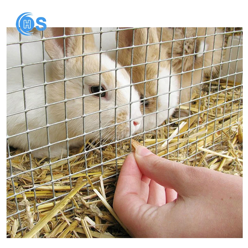 8 gauge hot-dip galvanized weld mesh fence gate 5x5 pvc welded iron wire net fencing roll
