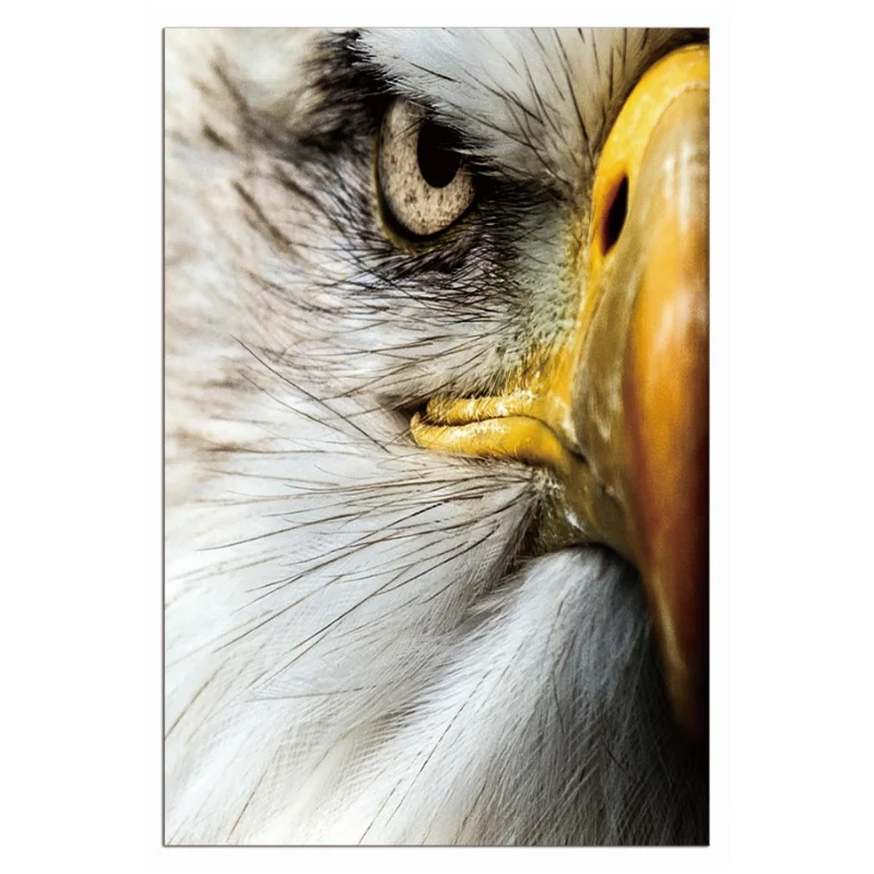 HD Realistic Wild Animal Acrylic Wall Art Canvas Decorative Painting Digital Painting Photo Painting Unframed Office Living Room