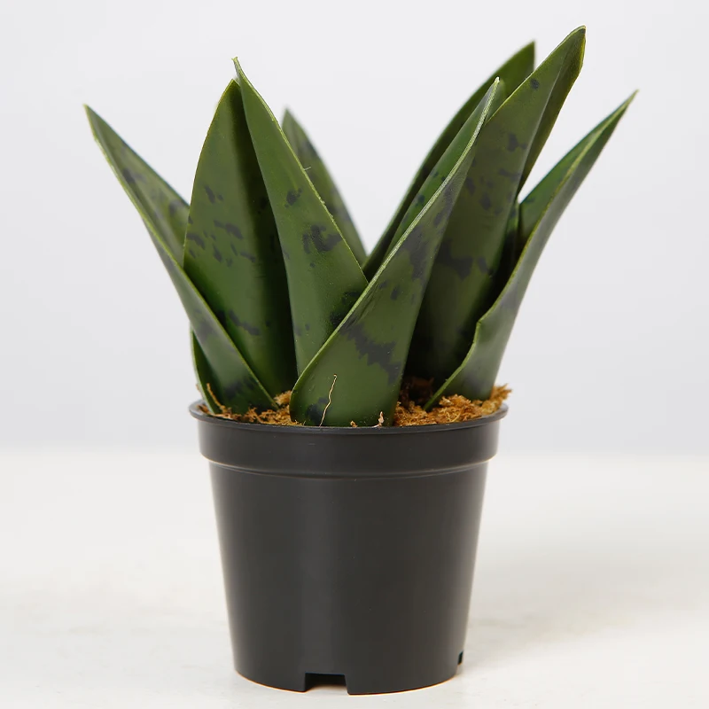 Темно-зеленые пластиковые искусственные змеи Sansevieria недорогие декоративные растения для сада 14 см