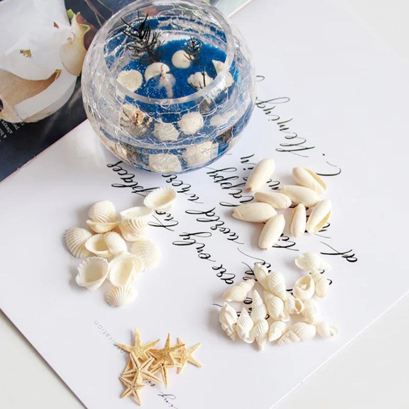 Натуральные морские ракушки, ракушки, пляжные ремесла, силиконовые формы, желейное восковое украшение для самостоятельного украшения свечи