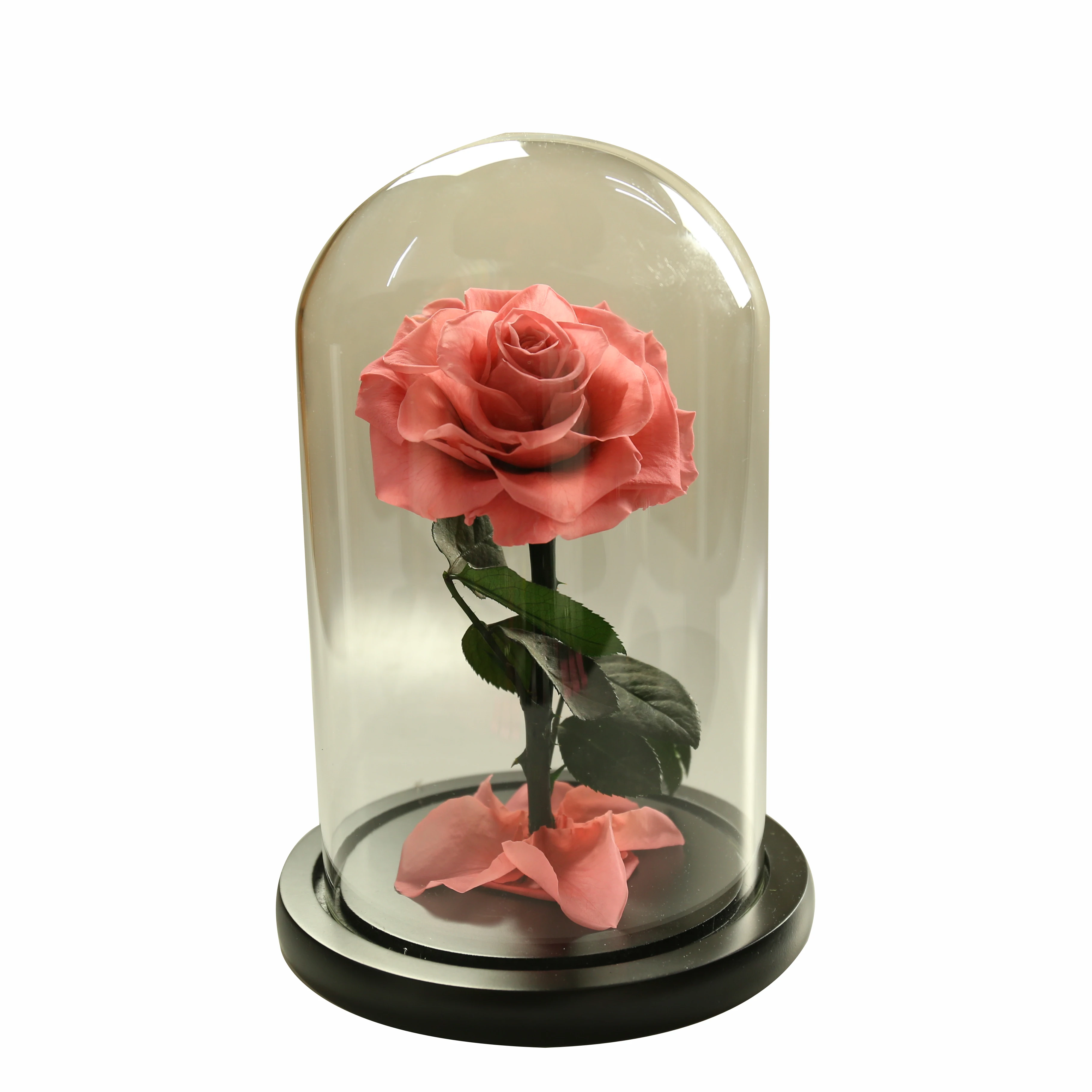 
Drop shipping Hot sale Real Carnation base in the glass 1 pc big flash preserved flower cardboard boxes for flowers 