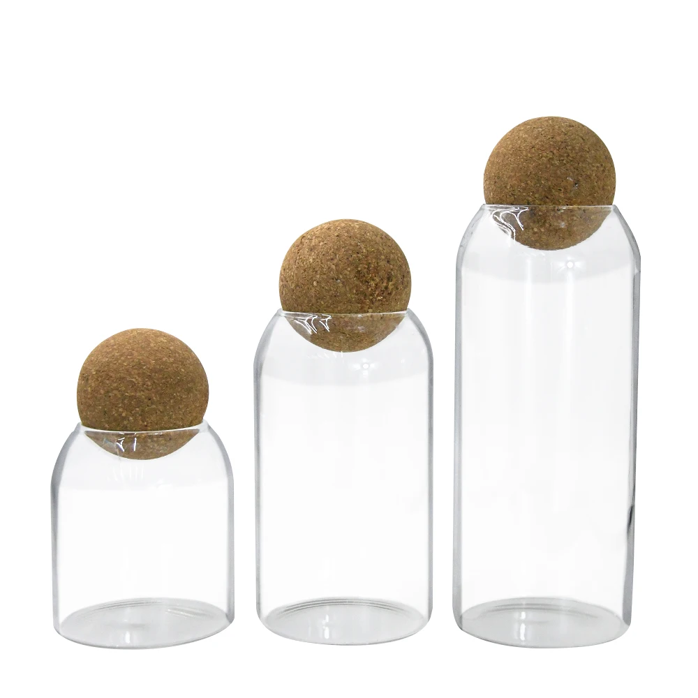 Clear glass planter terrarium vase for pot planting with wooden cork lid 500ml 800ml 1000ml tabletop DIY glass bottle