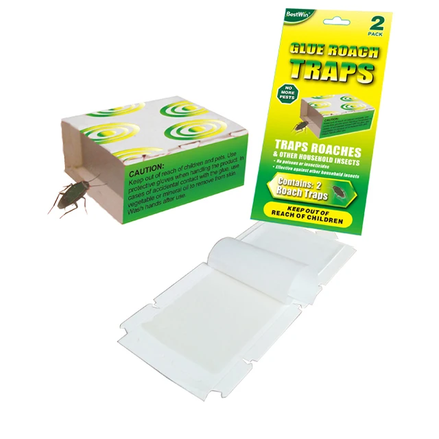 BSTW Fly Catcher Box Fly Catcher Rolls Fruit Fly Catcher