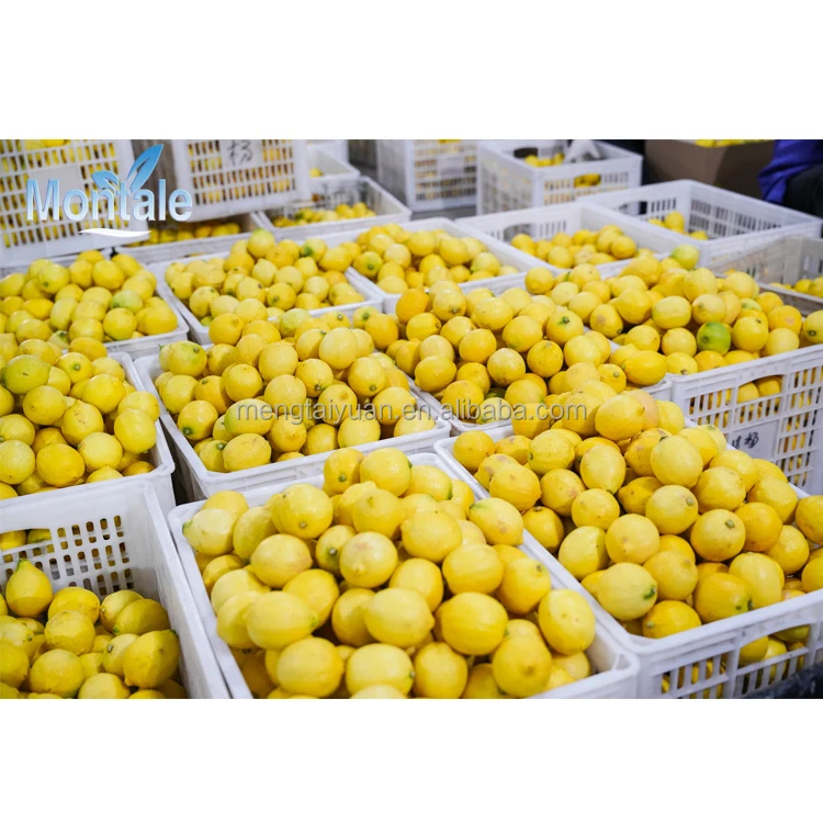 Montale 2020 Factory Best Price Hihg Quality Fresh Yellow Lemon Eureka Yellow