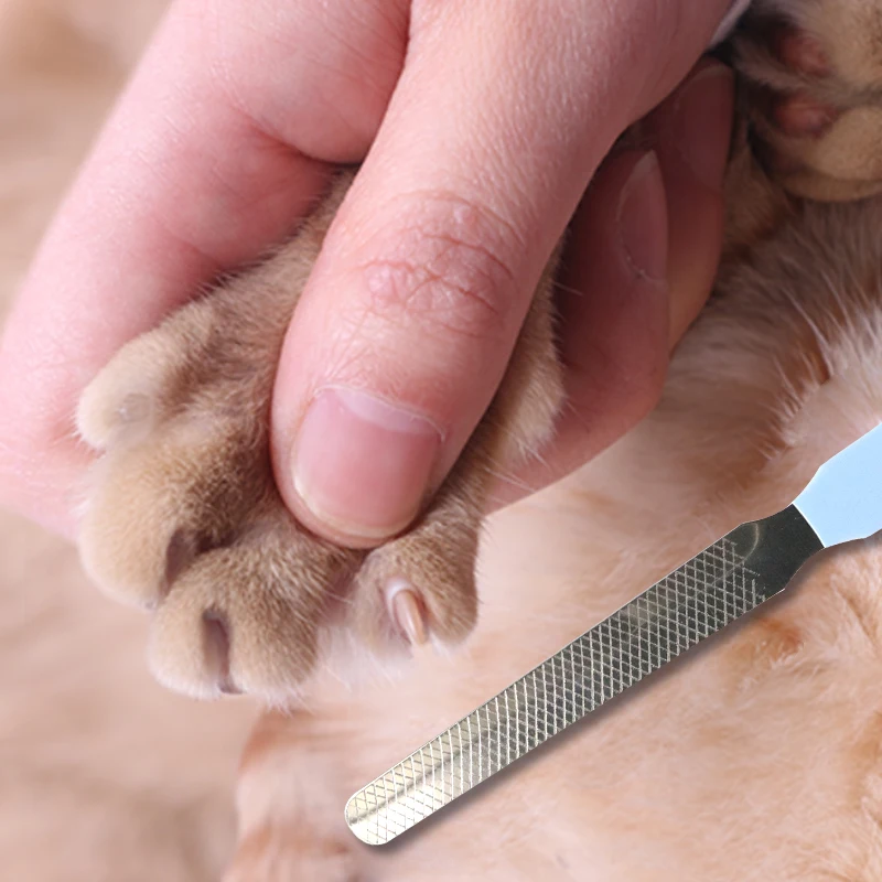 Pet Cat Dog Nail clippers Safety Pet Professional Cleaning Grooming Tool pet product factory