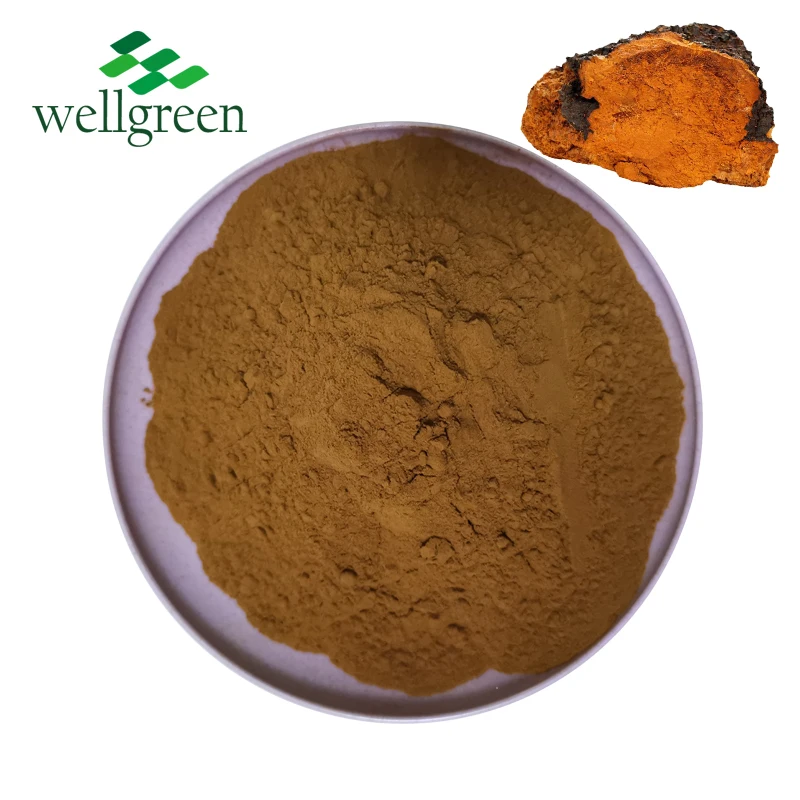 
Chaga Siberian Inonotus Obliquus Phaeoporus Obliquus Extract Powder 