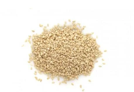 Manufacturer Factory Price Raw White Sesame Seed Sesame Seeds Sauce Burkina Faso 20kg