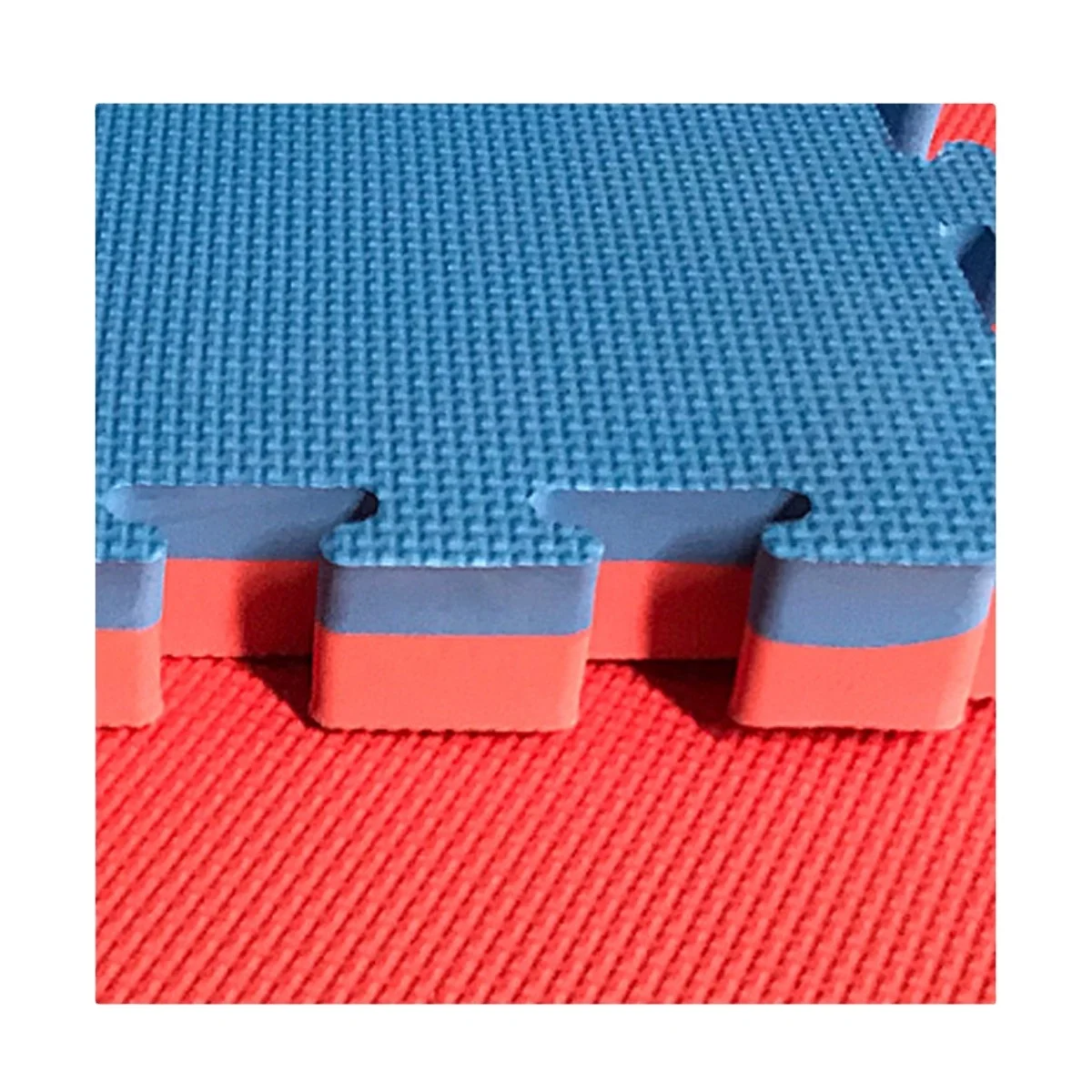 Extra Thick EVA Foam Martial Arts Mat 3cm T Pattern Interlocking Floor Tiles for Home Gym MMA Anti-Fatigue taekwondo Mats
