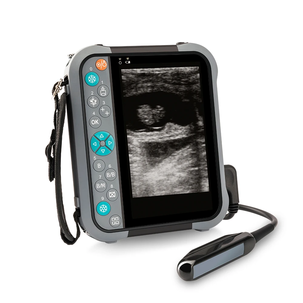 Портативный мини-ультразвуковой ветеринарный зонд