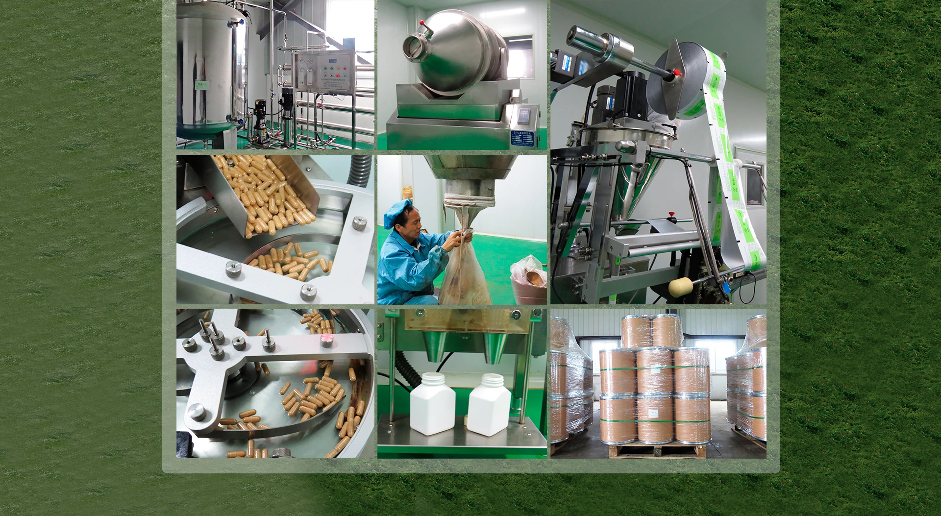 OEM упаковка оптом цена Okra экстракт порошок okra капсулы