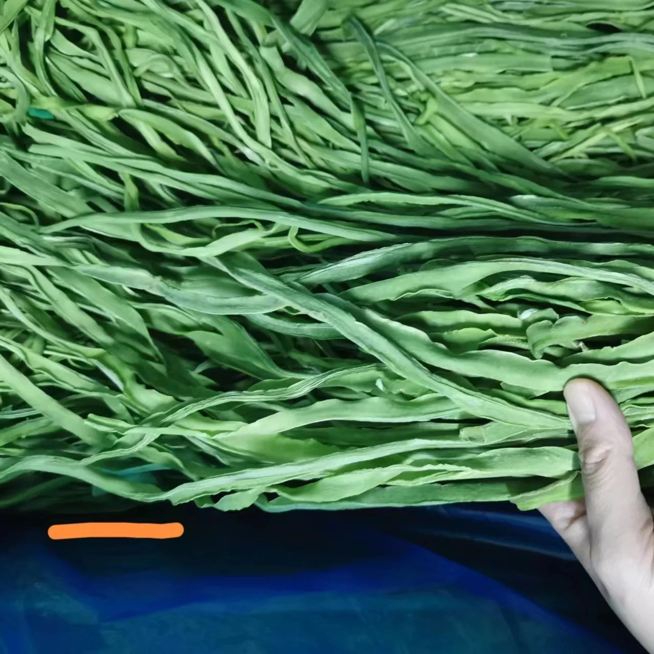 100% Natural Dried Yamakurage Celtuce dried mountain jelly vegetable Dehydrated Vegetables Gong Cai Dried