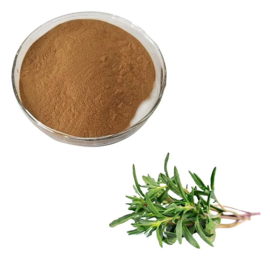 
Herbal Extract 10:1 new thyme extract 
