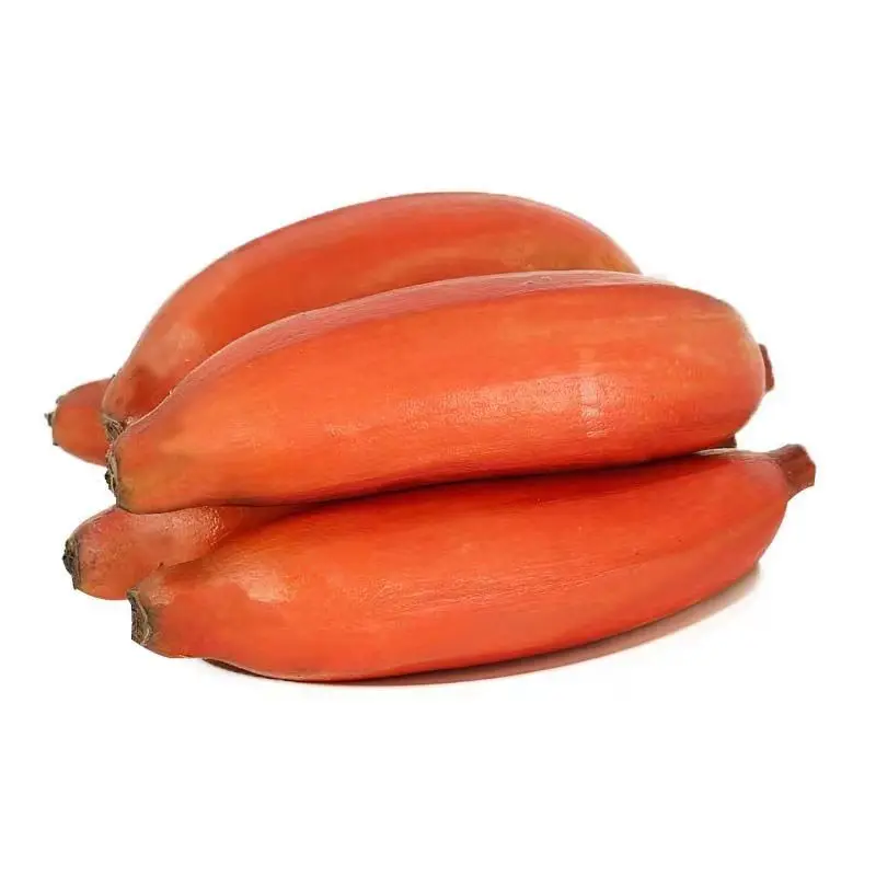 Fitness Red Beauty Banana Fire Dragon Banana Season Fresh Fruit Sweet Red Banana
