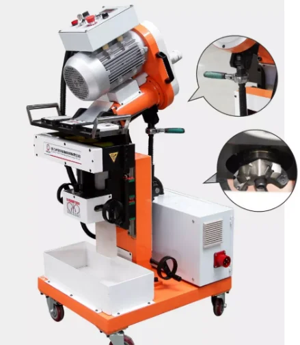 paste-pic-dp_uuid_xjuxa