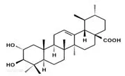 good price Banaba LEAF  extract corosolic acid 1% 2% 3% 10%-60%