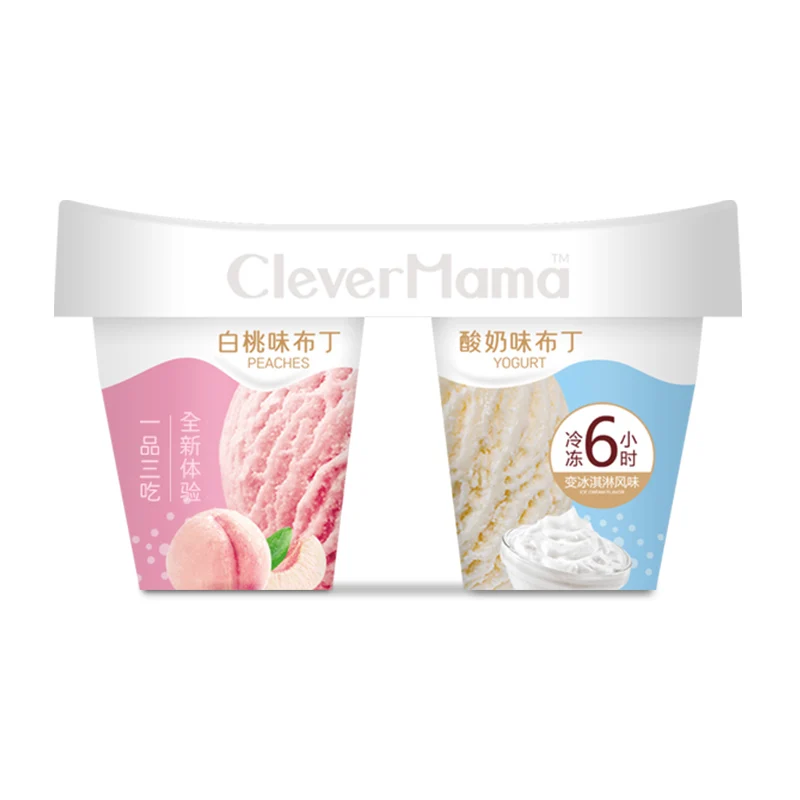 Oem Pudding Wholesale 90g Low Sugar Double Flavor Coconut & Cheese Ice Cream Pudding